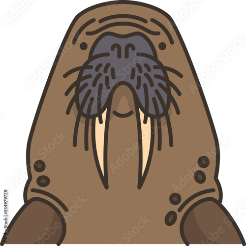 walrus icon