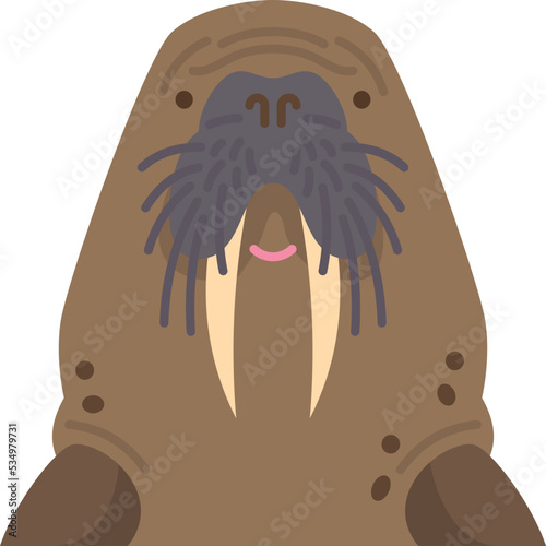 walrus icon