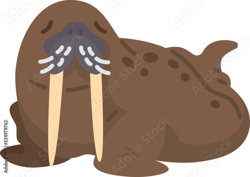 walrus icon