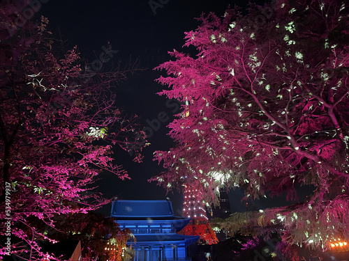 ライトアップされた東京都港区の増上寺と東京タワー photo