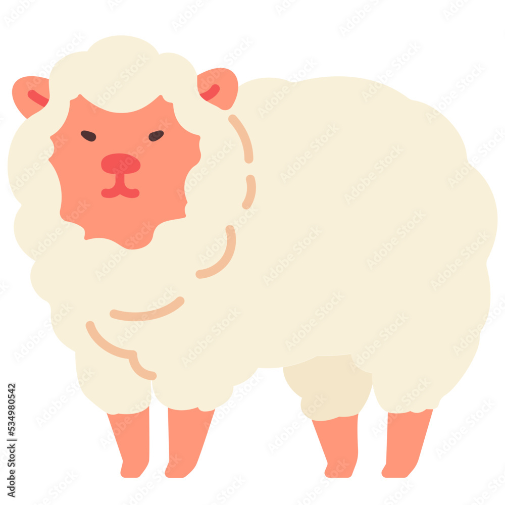Obraz premium Sheep