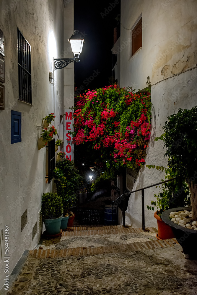 Quiet street of the town of Frigiliana, a traditional white village in the mountain of the coast of Malaga, Spain./Pueblo blanco de la costa de Malaga, Frigiliana, España