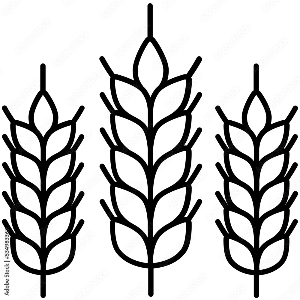 Wheat Wheat
