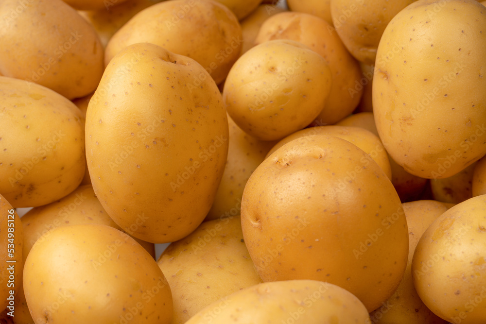 A group of fresh tasty potato as background. A group of fresh tasty potato as background.