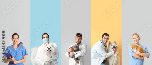 Set of veterinarians with pets on color background photo