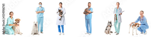 Set of veterinarians with animals isolated on white photo