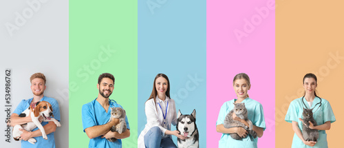 Set of veterinarians with p...