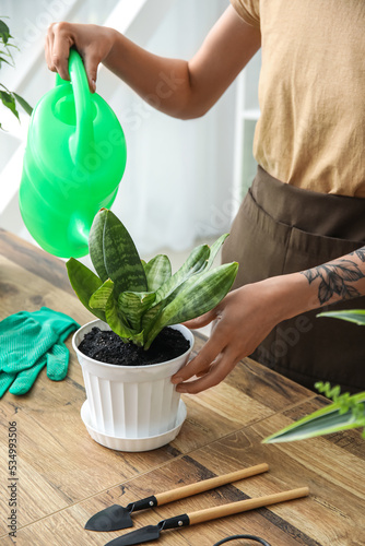 Woman watering potted house...