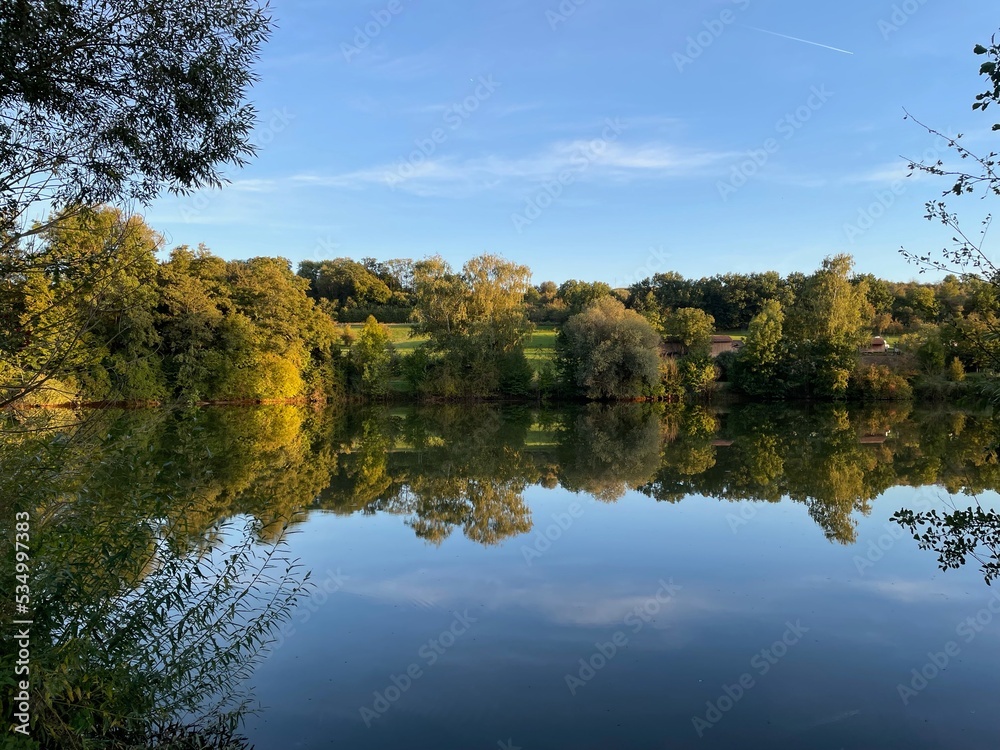 Die Bäume neben dem Beutwangsee in Nürtingen spiegeln sich im Wasser.
