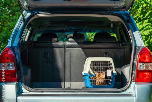 Carrier for cats in the trunk of a car. Transportation of pets to country house