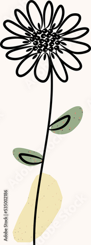 Daisy flower botanical minimal art element, poster, or wall art illustration with organic shape.