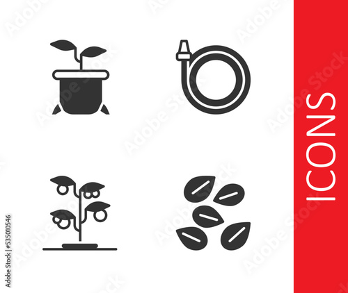 Set Seeds of specific plant  Plant in pot  Sprout and Garden hose icon. Vector