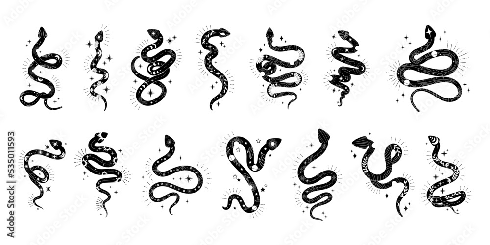 Occult snake, moon and stars with flowers and leaves, mystic reptile black silhouette. Celestial alchemy animal, esoteric spiritual emblem or logo. Decor elements vector illustration set Occult snake, moon and stars with flowers and leaves, mystic reptile black silhouette. Celestial alchemy animal, esoteric spiritual emblem or logo. Decor elements vector illustration set