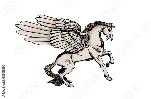 Graphical white color pegasus isolated on white background, vector horse with wings