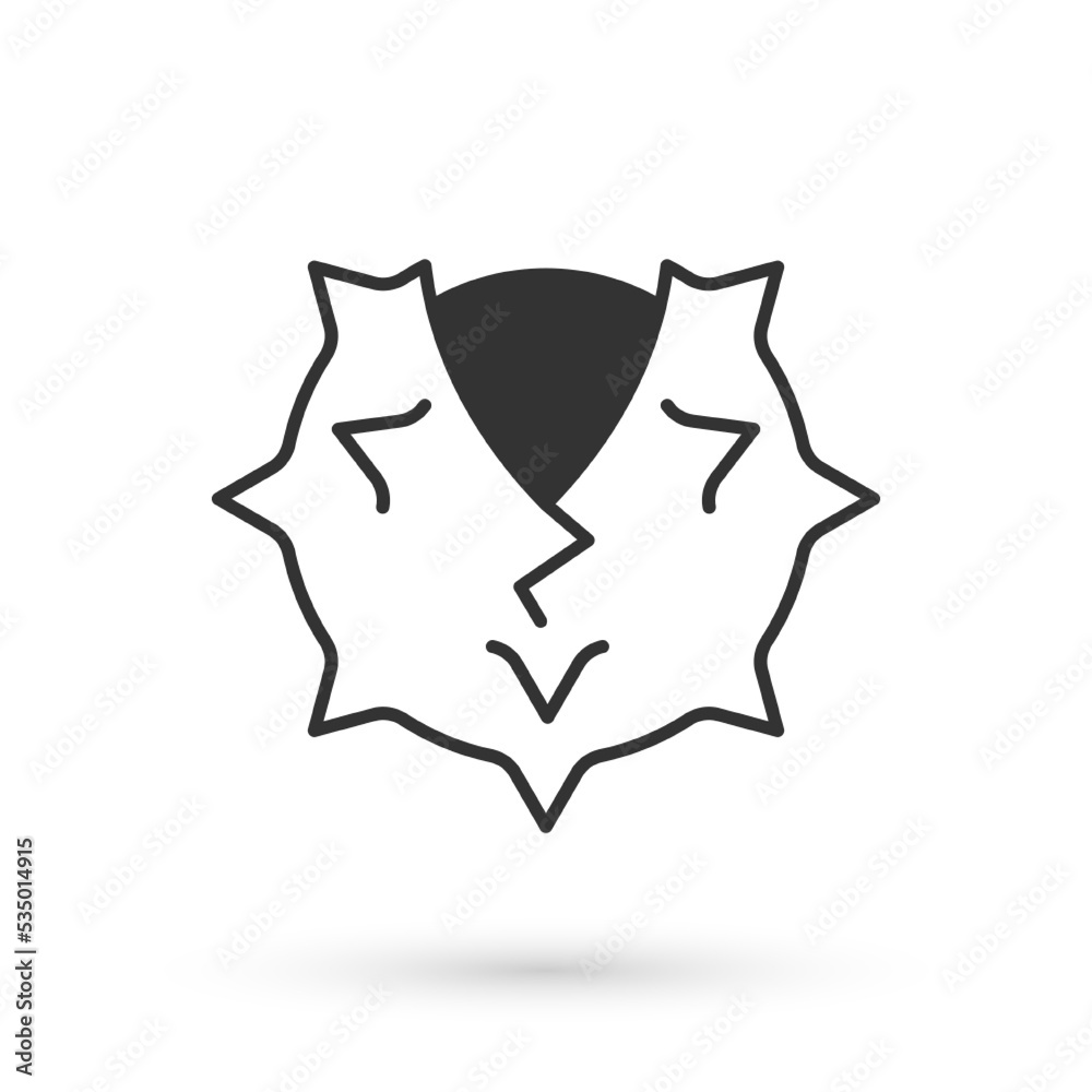 Grey Chestnut icon isolated on white background. Barbed and strong chestnut. Vector