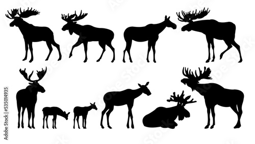 Fototapeta Naklejka Na Ścianę i Meble -  Moose set. Elk adult males and females. Moose cubs. Silhouette picture. Animals in wild. Isolated on white background. Vector.