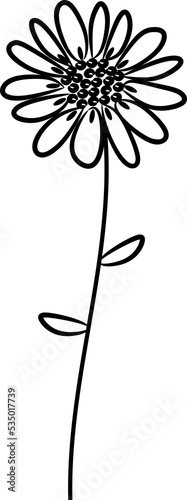 Daisy flower botanical minimal art element