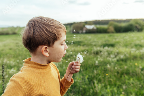 Toddler boy holds, blows on a dandelion flower with seeds. Child in a meadow at sunset.