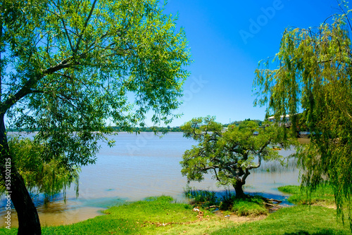 Three trees, one of them a weeping willow, stand close to the water of Río de la Plata in Colonia del Sacramento, Uruguay. It is a hot summer day. photo