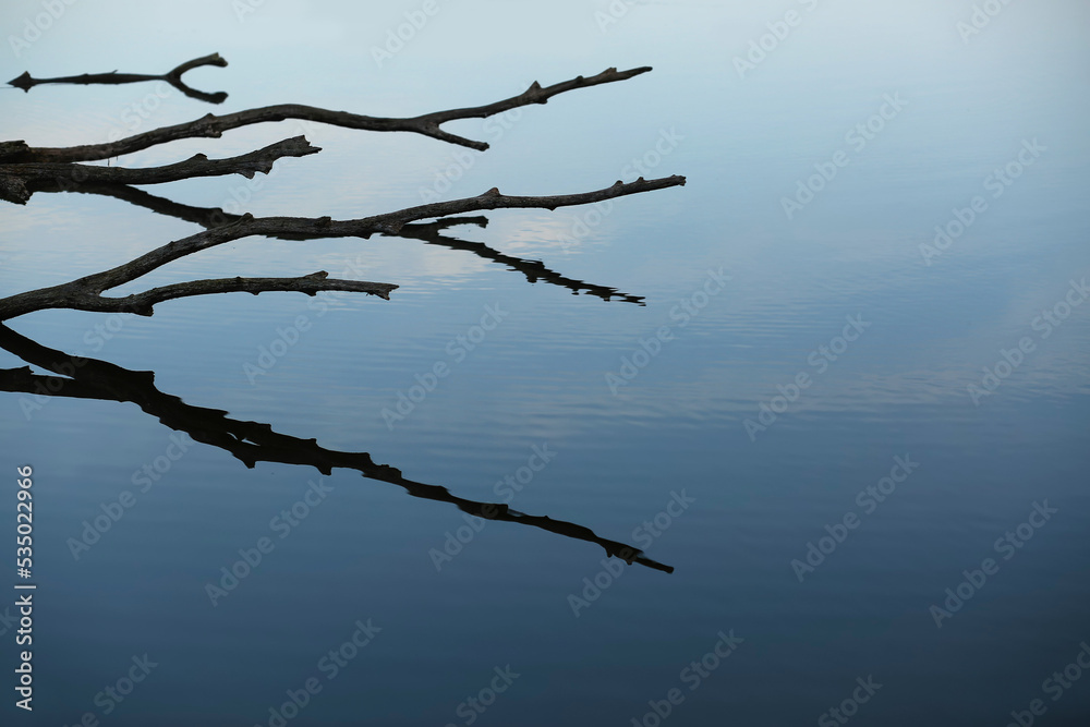 Autumn nature background with a foggy morning lake and a branch silhouette with its reflection Autumn nature background with a foggy morning lake and a branch silhouette with its reflection