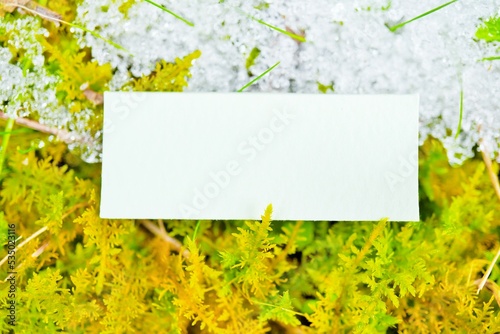黄緑色の苔の上で溶けかけた氷を背景にしたコメントフレームのモックアップ

