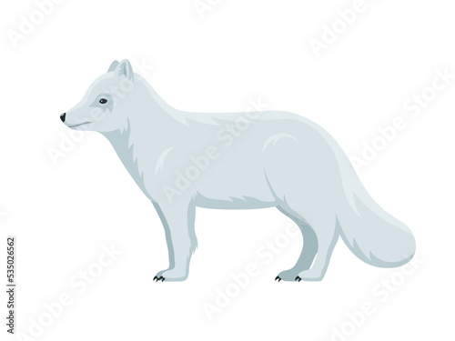 Vector arctic fox
