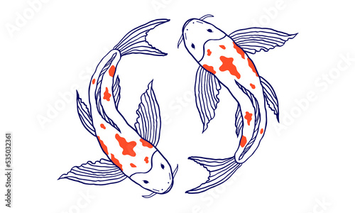koi fish design no background and PNG format