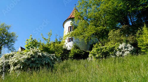 the scenic Bavarian town Neuburg an der Donau (or Neuburg the Danube) on a sunny day in May (Bavaria, Germany) photo