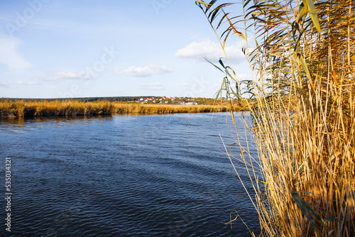 Fototapeta Beautiful riverscape with reeds on sunny day