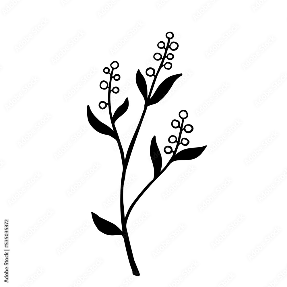 Simple botanical sketch of wild field plant,meadow grass.Vector graphic.