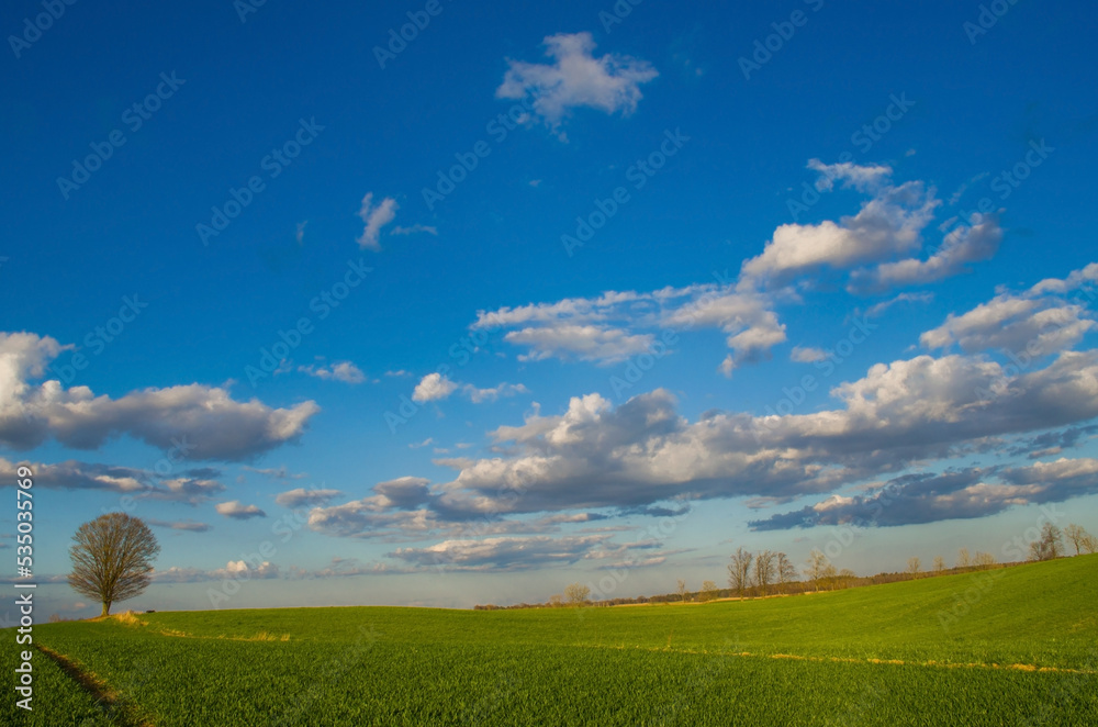 Fototapeta premium Warmia_2022