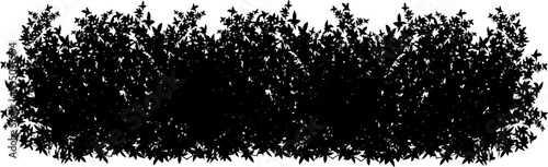 Set of ornamental black plant in the form of a hedge.Realistic garden shrub, seasonal bush, boxwood, tree crown bush foliage.For decorate of a park, a garden or a fence.