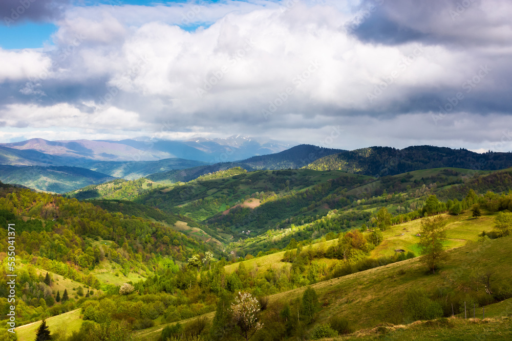 Obraz premium green carpathian landscape in spring time. beautiful mountain landscape with rural valley and village in the distance. clouds on the sky above the borzhava ridge