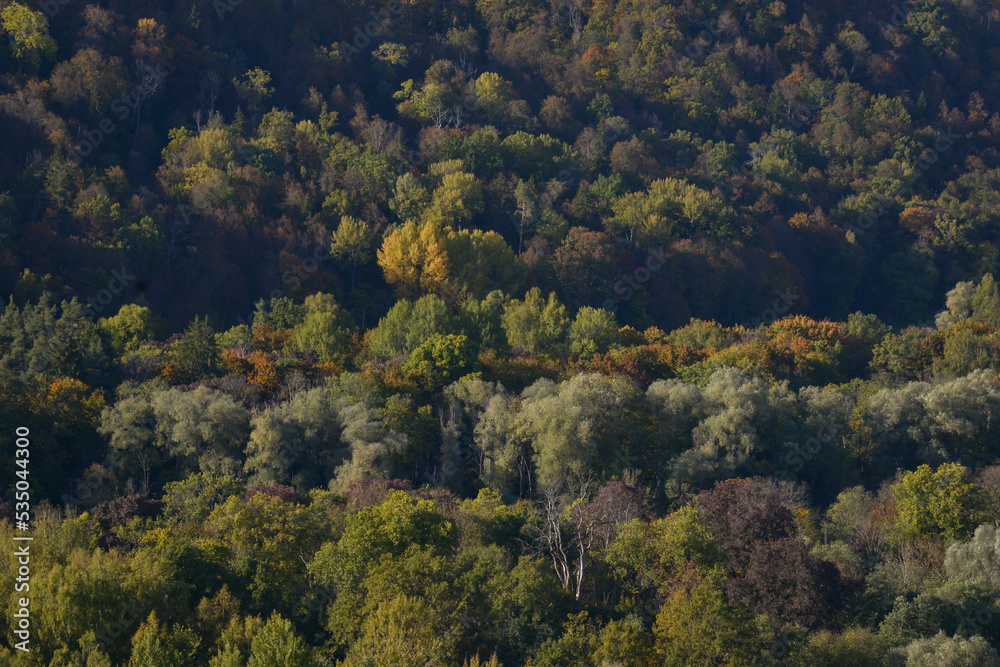 Beautiful autumn landscape with tree tops colored in yellow, orange, red and green. Golden autumn