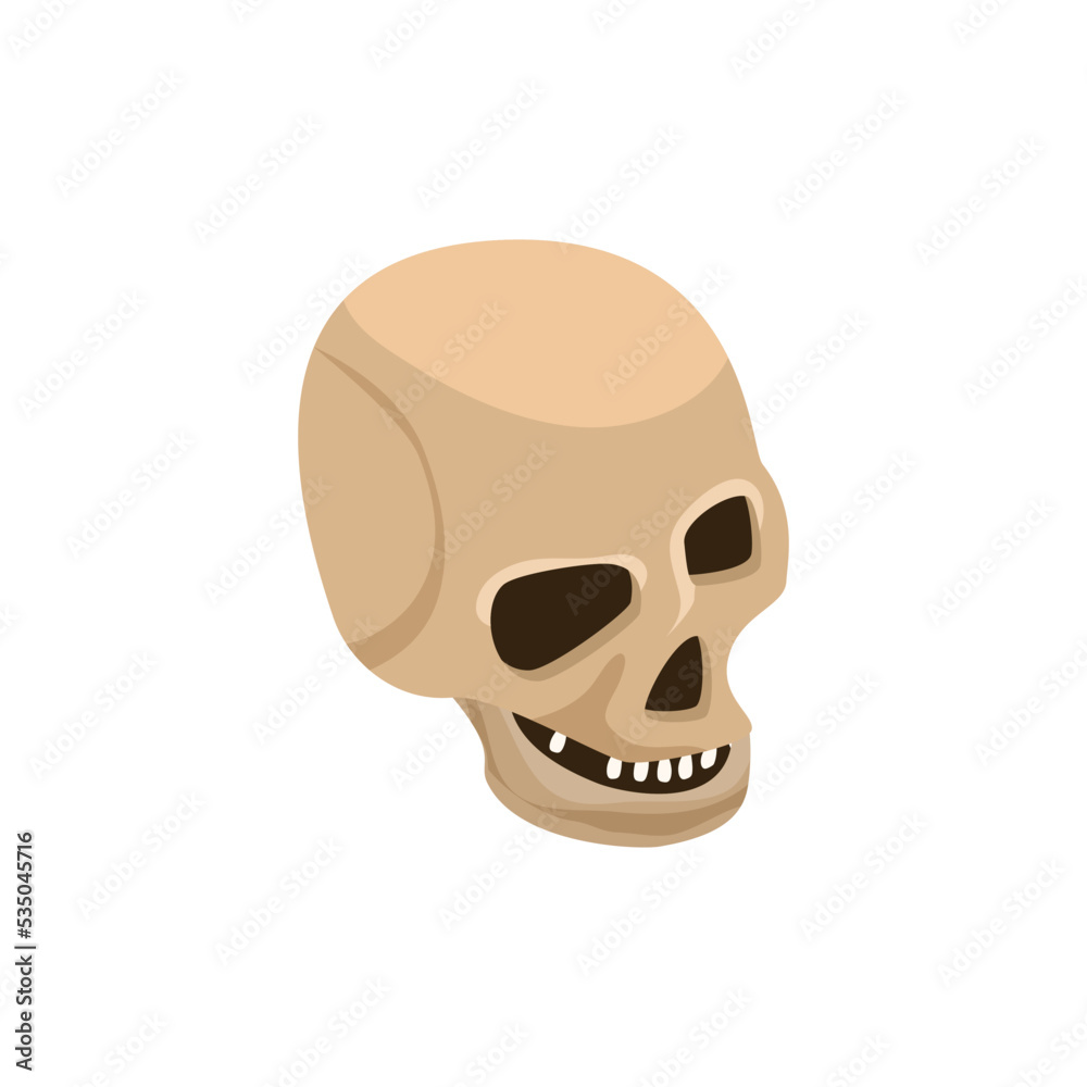 Vector illustration of Scull isolated on white background