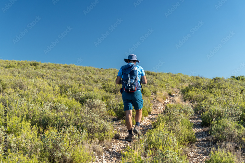 Rear view, male hiker walking along a path with bushes, against blue and sunny sky