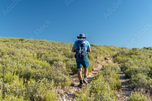 Rear view, male hiker walking along a path with bushes, against blue and sunny sky
