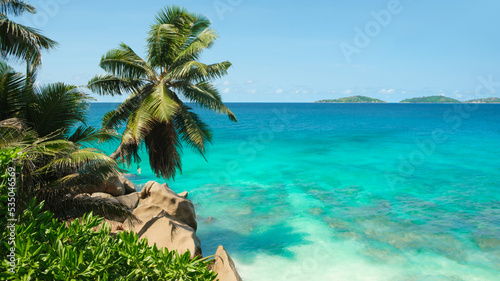 Fototapeta Naklejka Na Ścianę i Meble -  Palm and tropical beach, vacation travel concept