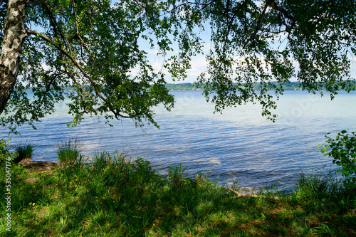 a scenic view of the lush green trees by Lake Starnberg or Starnberger See in Bernried on a sunny day in May, Bavaria, Germany