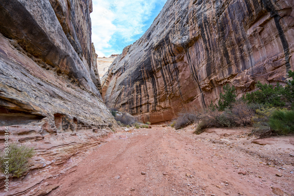 Obraz premium capitol reef national park