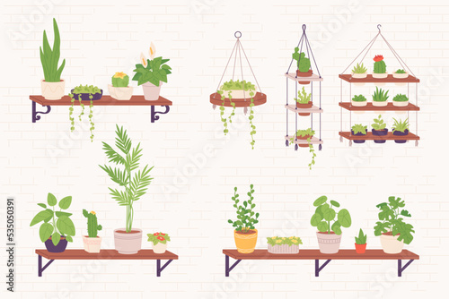 Houseplants shelves. Succulent houseplant stands shelf or hanging flowerpots, planter house decorative flower, nature plant indoor green ivy scandinavian office vector illustration