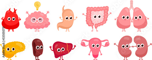 Internal organs characters. Cartoon healthy human organ cute comic characters, happy liver funny brain spleen stomach pancreas digestive system biology neoteric vector illustration