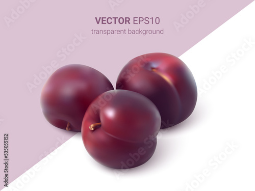 Photo-realistic vector illustration of plum with shadow isolated on white background. Realistic hand made mesh. 