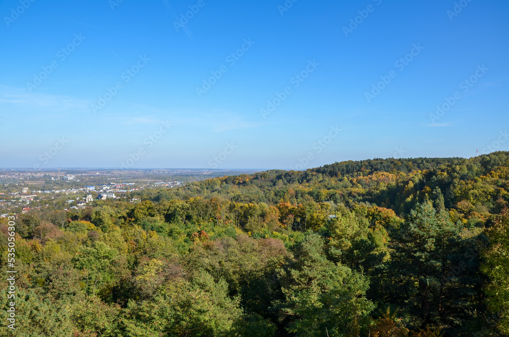 View from above of dense forest with colorful lush canopies in sunny autumn day