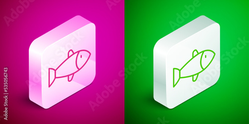 Isometric line Fish icon isolated on pink and green background. Silver square button. Vector
