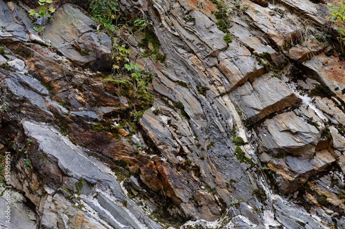 Dark diagonal granite rock layers with some vegetation