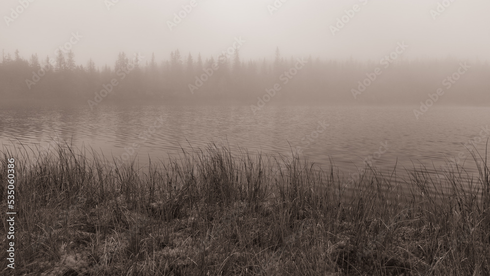 By the shores of Skurvetjern Lake, part of the Totenaasen Hills, Norway, a foggy morning.