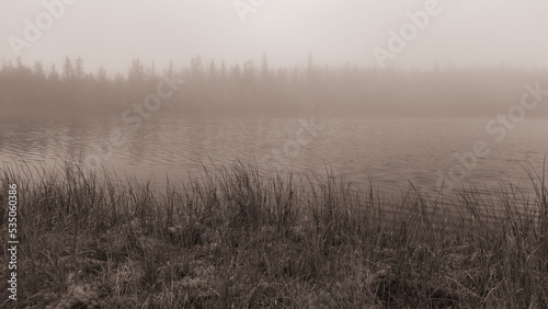 By the shores of Skurvetjern Lake, part of the Totenaasen Hills, Norway, a foggy morning.
