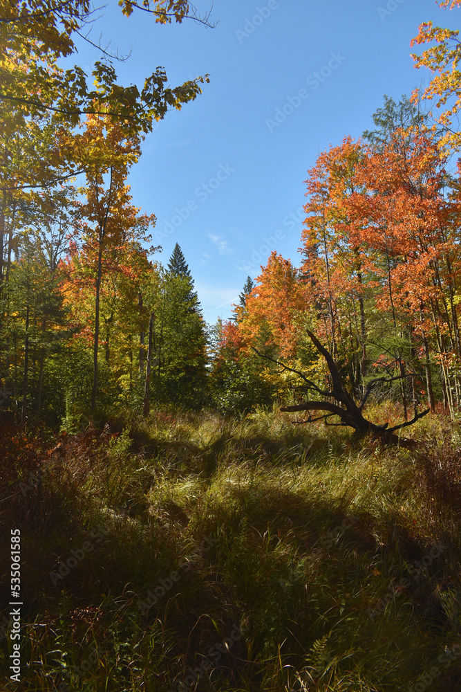 Fototapeta premium La Plaine 2 Octobre 2022