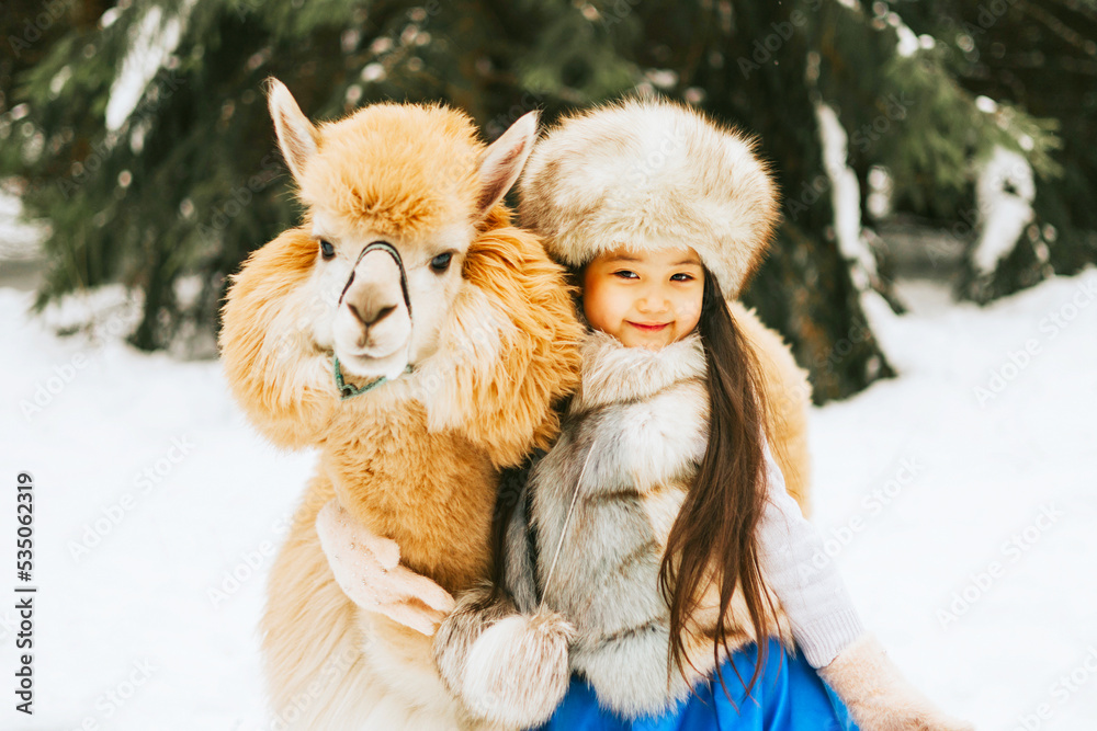 Fototapeta premium cute beautiful asian girl in fashion stylish winter clothes fur coat and fur hat walking and hugging with llama alpaca pet in snowy pine forest, winter spirit and having fun